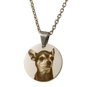 Collar de circulo